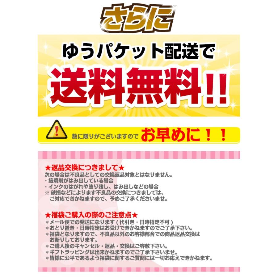 再販決定 在庫限り お得ヘアアクセ千円ポッキリ福袋 /ヘアアクセサリー福袋/人気 子供/ヘアピン/ヘアゴム/ベビー雑貨/入園入学/発表会/子供キッズベビー/女の子 |  | 05