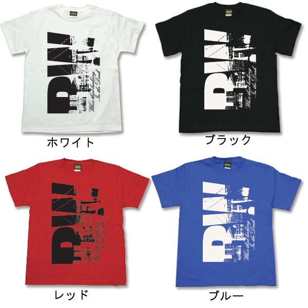 大きいサイズ メンズ Tシャツ XXL XXXL 3L 4L まとめ割 Tシャツ