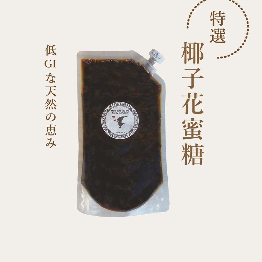 糖質オフ 甘味料 オーガニック 椰子花蜜 ダイエット シュガー 低gi グラノーラ ナッツ 椰子花蜜糖500g 10 Born To Be 通販 Yahoo ショッピング