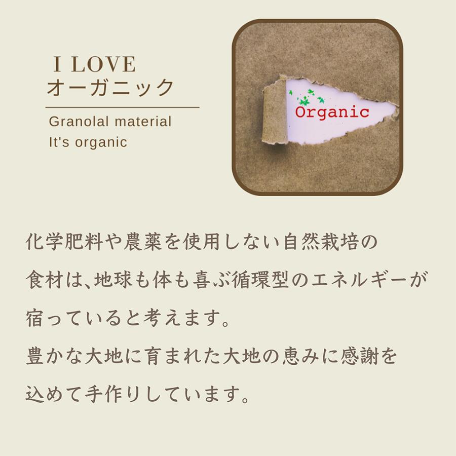 ミックスナッツ 3個セレクト オーガニック ナッツ グルテンフリー 糖質オフ 有機ナッツ アーモンド カシューナッツ ダイエット 健康食 |  | 11