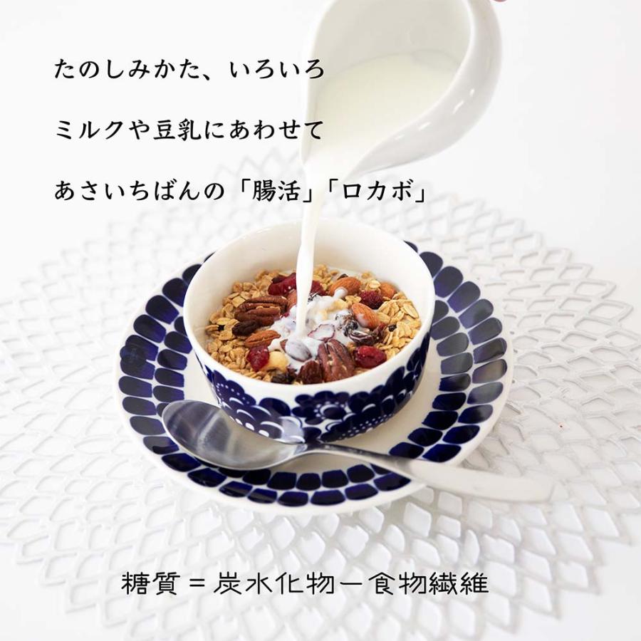 グラノーラ 糖質オフ ハニーレモン 180g  オーガニック オートミール グルテンフリー アーモンド  朝食 ダイエット 健康食 |  | 12