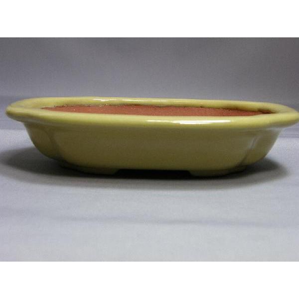 壱興鉢もっこ 【公式通販】