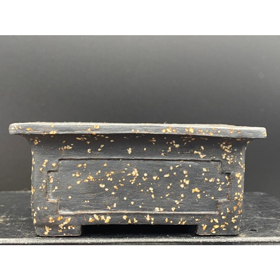 二代平安東福寺 黒梨皮泥長方外縁窓付切足鉢 3.5号(10cm) :221103:鉢や