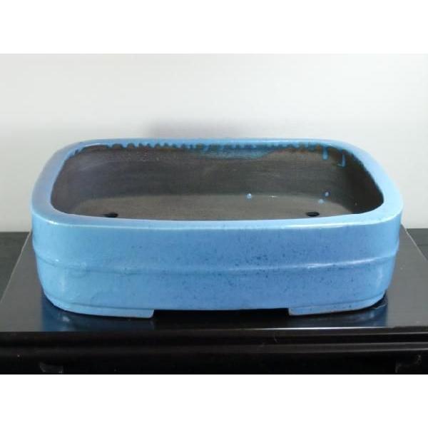 鴻陽　呂均窯撫角内縁中竹帯　１3号 花、ガーデニング 園芸用品 鉢、プランター TM1411996600(13096円)