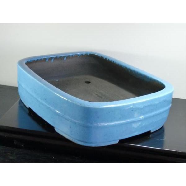 鴻陽　呂均窯撫角内縁中竹帯　１3号 花、ガーデニング 園芸用品 鉢、プランター TM1411996600(13096円)