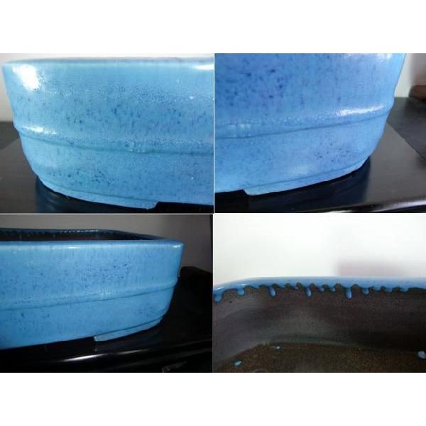 鴻陽　呂均窯撫角内縁中竹帯　１3号 花、ガーデニング 園芸用品 鉢、プランター TM1411996600(13096円)