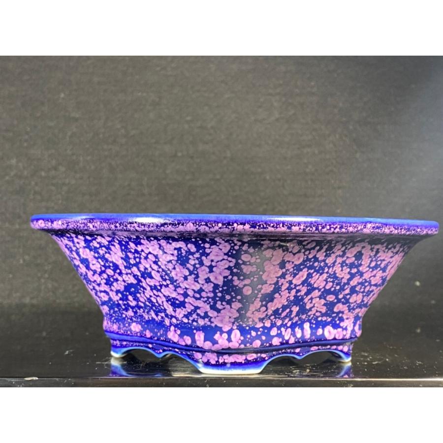 平安泉山 紫結晶木瓜式鉢(大) 5.5号 : 鉢や 暮路空 - 通販 - Yahoo