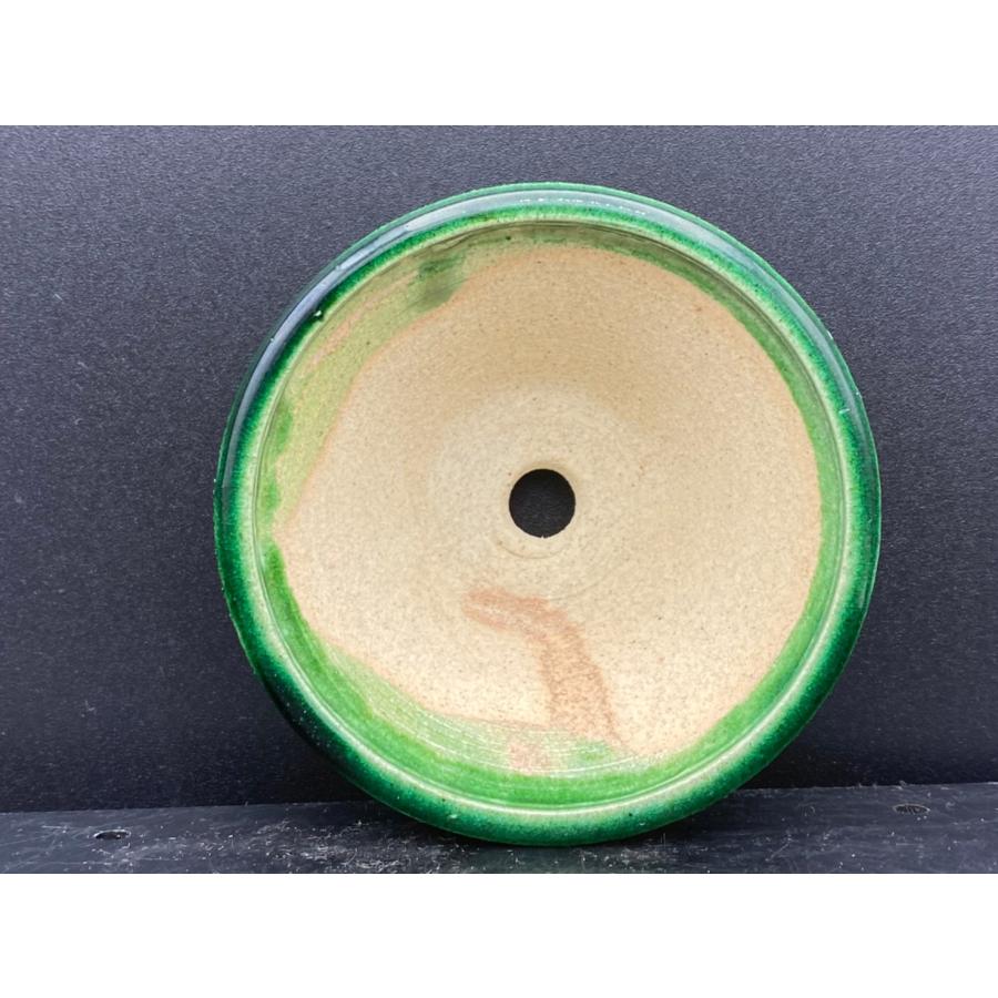 堀江美功 緑釉丸陣笠三足鉢 2.5号(7cm) : 鉢や 暮路空 - 通販 - Yahoo