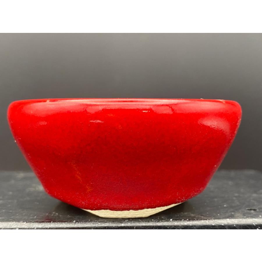 堀江美功 鶏血釉丸三足鉢 2.5号(7.5cm) : 鉢や 暮路空 - 通販
