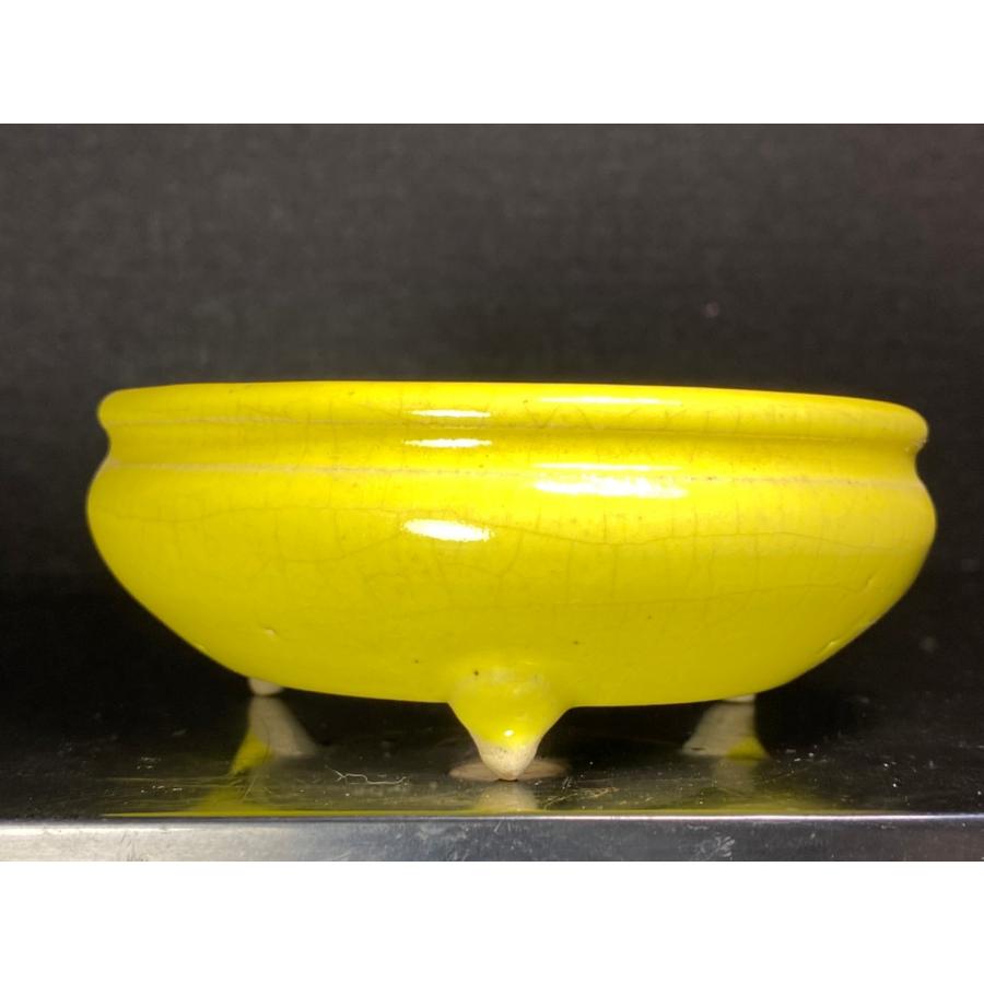 堀江美功 黄釉丸三足鉢 3.5号 : 鉢や 暮路空 - 通販 - Yahoo!ショッピング