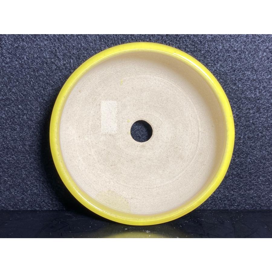 堀江美功 黄釉丸三足鉢 3.5号 : 鉢や 暮路空 - 通販 - Yahoo!ショッピング
