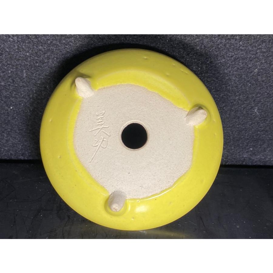 堀江美功 黄釉丸三足鉢 3.5号 : 鉢や 暮路空 - 通販 - Yahoo!ショッピング