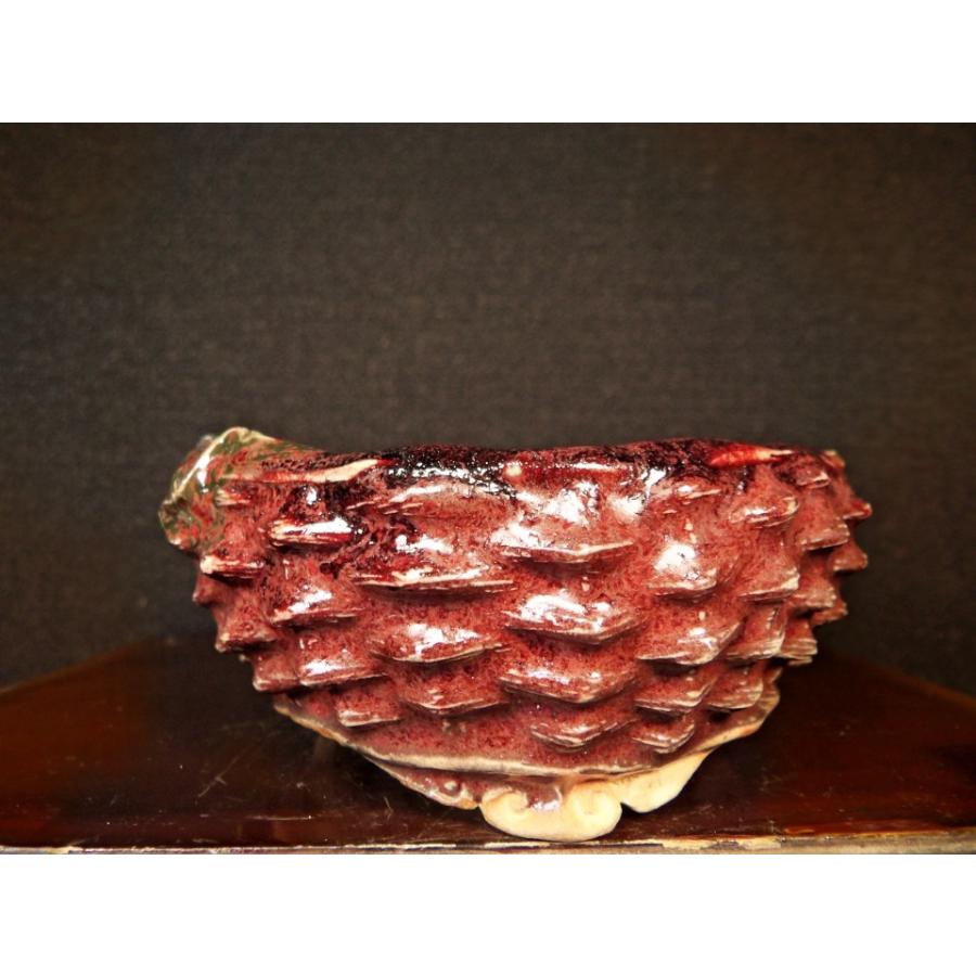 古本正志 辰砂釉窯変蛙付籠彫雲足鉢 3.5号 花、ガーデニング 盆栽、苔玉 SK1347735366(12500円)