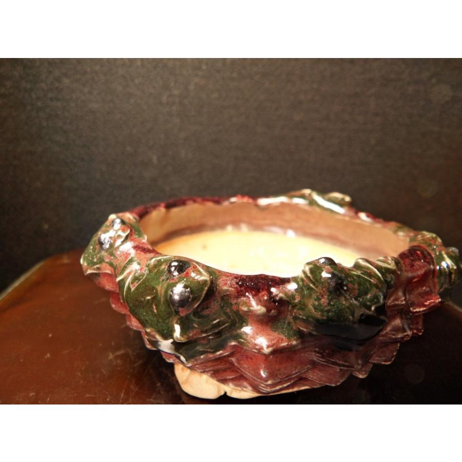 古本正志 辰砂釉窯変蛙付籠彫雲足鉢 3.5号 花、ガーデニング 盆栽、苔玉 SK1347735366(12500円)