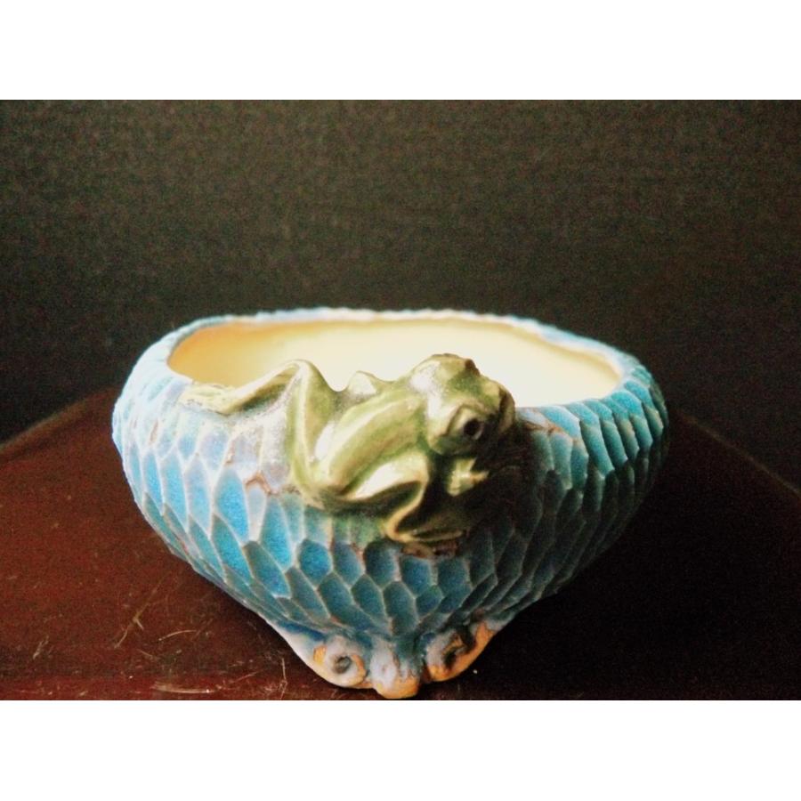 古本正志　豆鉢　カエル 古本正志豆鉢カエル