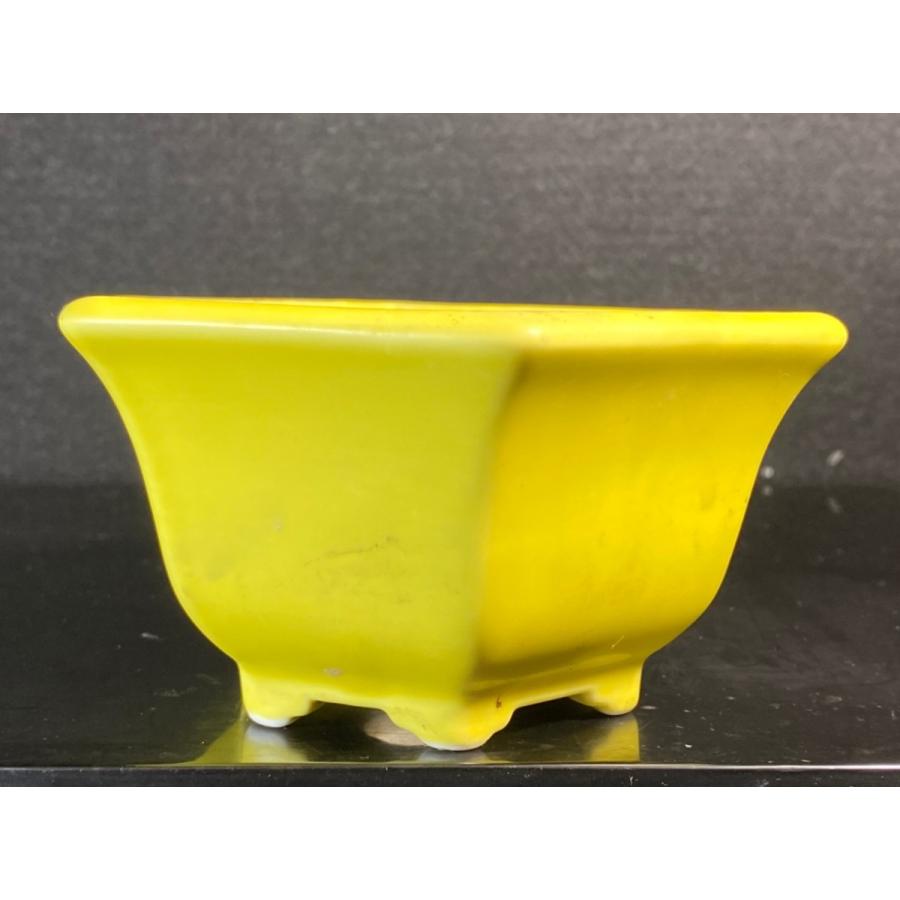 石田祥石 黄釉六角外縁段足鉢 4号 : 鉢や 暮路空 - 通販 - Yahoo