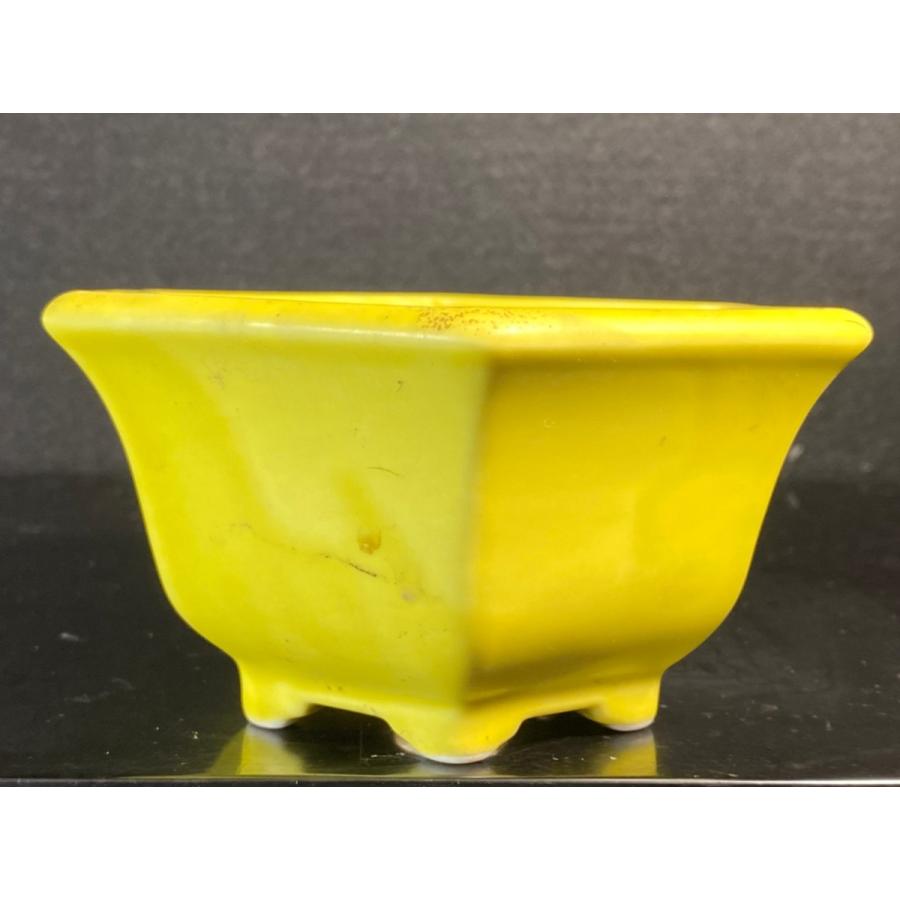 祥石　盆栽鉢 現代小鉢：祥石(二代目)ゆうき*小 丸鉢 2.5号 | すべての商品