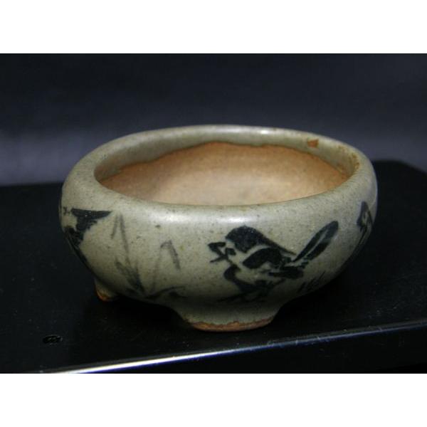 是好 雀画小判ワン形 2.5号 : 鉢や 暮路空 - 通販 - Yahoo