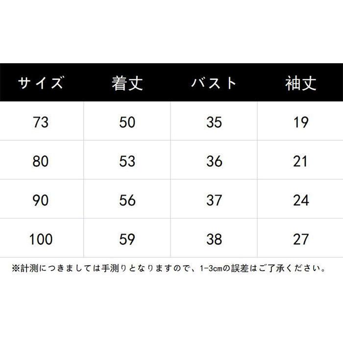 ワンピース ベビードレス 結婚式 長袖 赤ちゃん 女の子 セレモニードレス かわいい ふわふわ 春夏 秋 チュールドレス キッズドレス 子供ドレス プリンセ | ブランド登録なし | 09