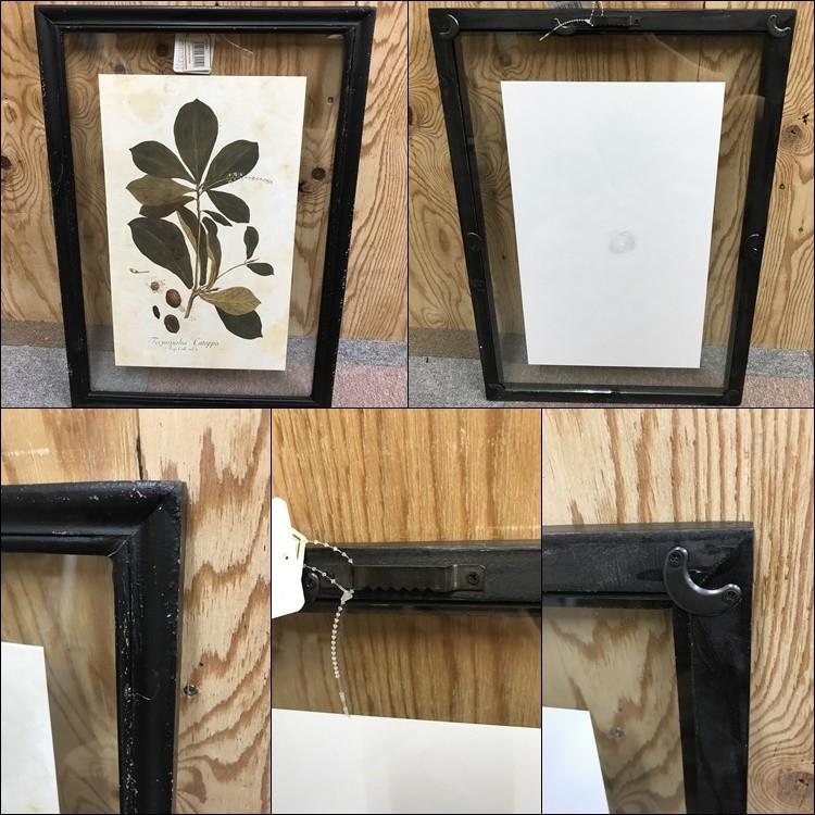 フラワーフレーム 09 02 Xx I3 Paseo パセオ フレーム フラワー 花 絵 額縁 ウッド 木 木製 ディスプレイ 雑貨 おしゃれ ウォール デコレーション フレーム 09 02 Bosky 通販 Yahoo ショッピング