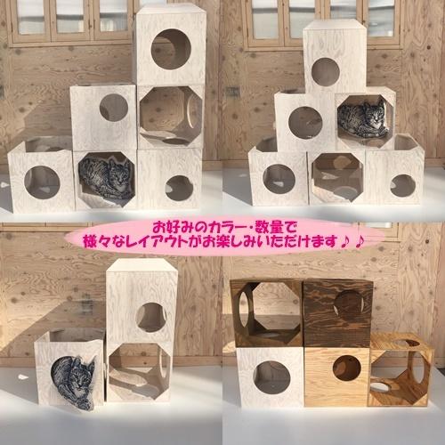 キャットタワー 1個 木製 Bos Cat Cl Nn Bosky 国産 日本製 職人手作り 天然木 クリア キャットハウス キャットボックス トンネル タワー 猫家具 Bos Cat Cl Bosky 通販 Yahoo ショッピング