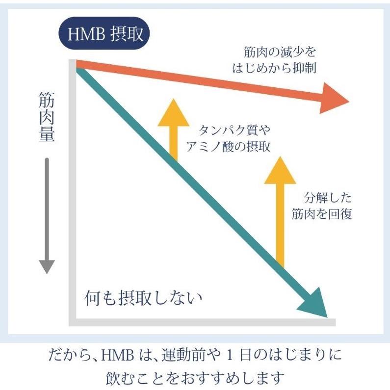 筋肉 サポート 大人のhmb 抹茶 豆乳 送料無料 10g 30本入 30日分 粉末飲料 機能性表示食品 Hmb 筋力 サプリ サプリメント プロテイン アミノ酸 ビタミンd 配合 Hmb002 ボタニアージュ Yahoo ショップ 通販 Yahoo ショッピング