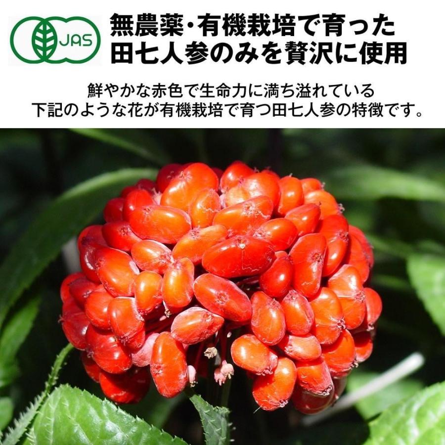 田七人参 サプリ 田七 サポニン 有機田七人参 サプリメント 三七人参 伝七 でんしち100%  600粒入 和漢堂 有機JAS認証【2個セット】の画像