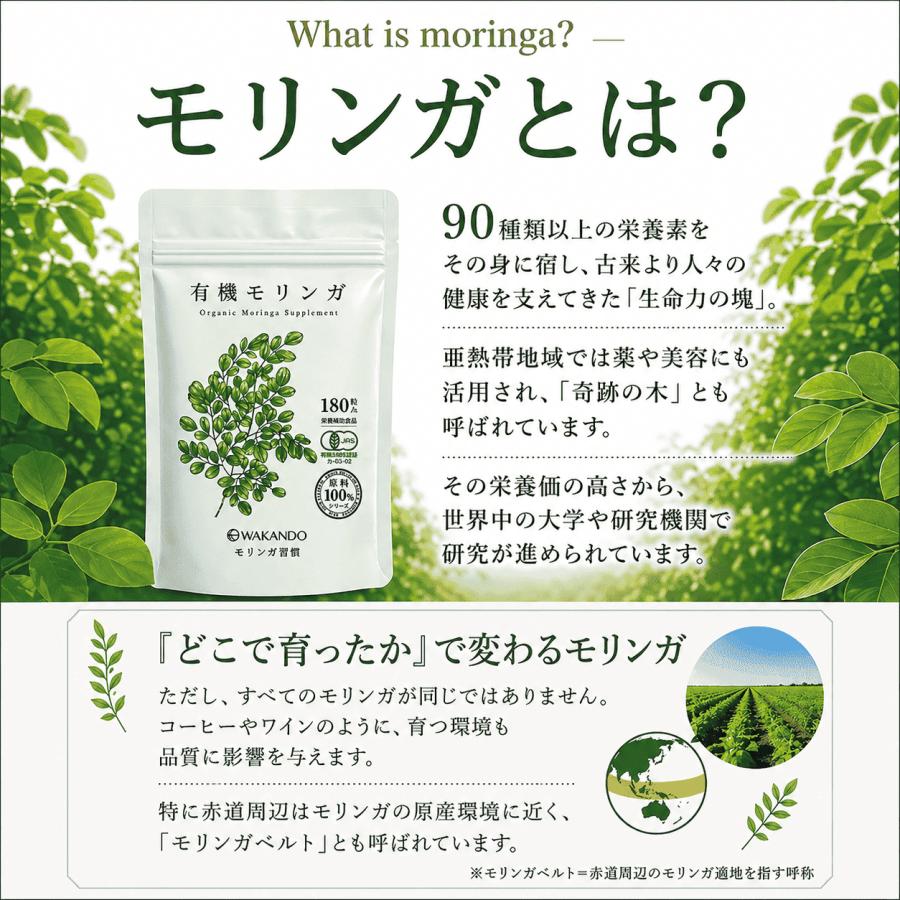 モリンガ 100% 無添加 有機JAS 無農薬 モリンガサプリ 純度100% 着色料