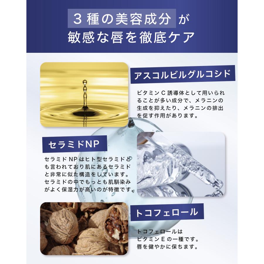Reach オールインワンリップ 医薬部外品 保湿 乾燥唇 【送料無料