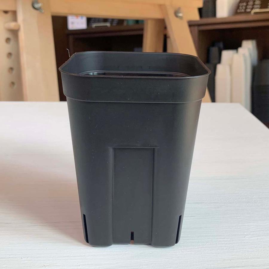 10個セット プレステラ105型深鉢 黒 ブラック スリット鉢 Mer Pred105 Bk 10 Botanique Yahoo ショッピング店 通販 Yahoo ショッピング