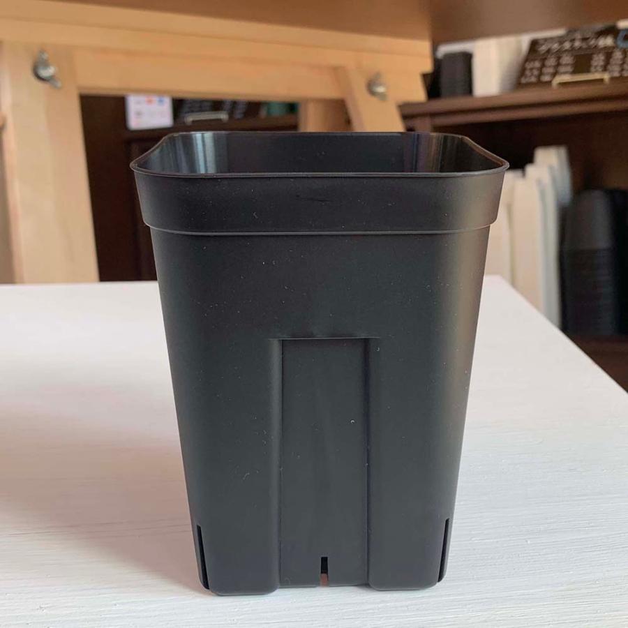 プレステラ120型深鉢（黒/ブラック） スリット鉢 : Botanique