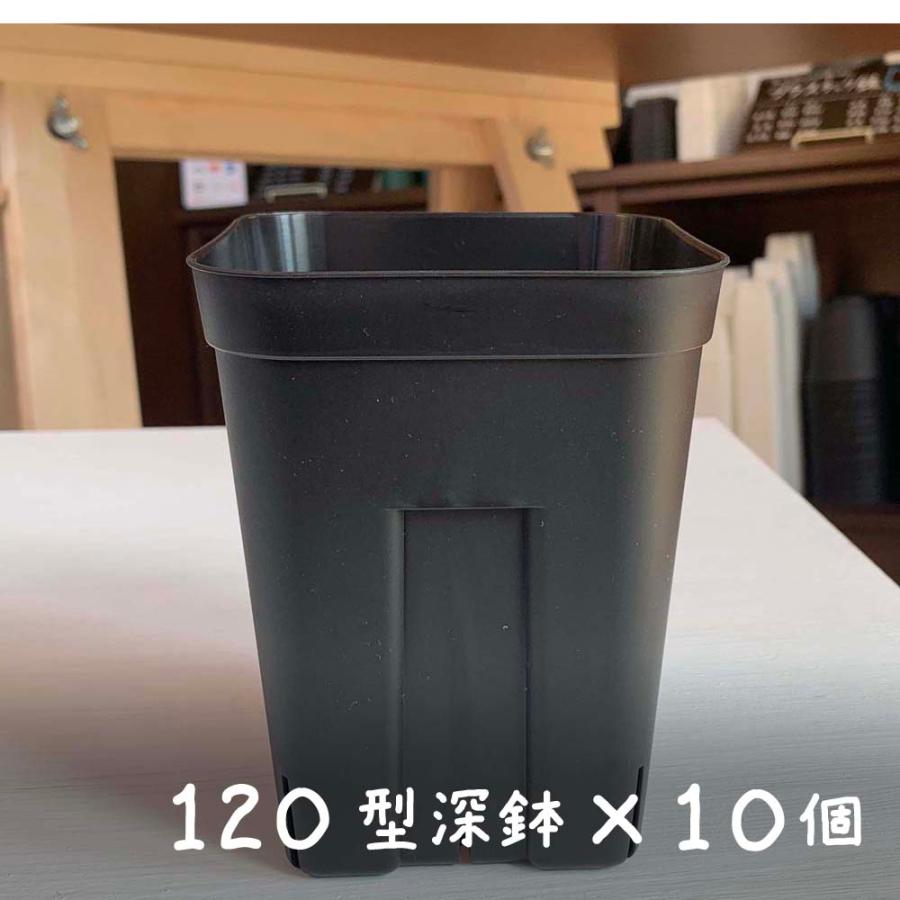 02 確認用　プレステラ120サイズ 02 確認用 プレステラ120サイズ プレステラ深鉢 120-黒☆(硬質スリット