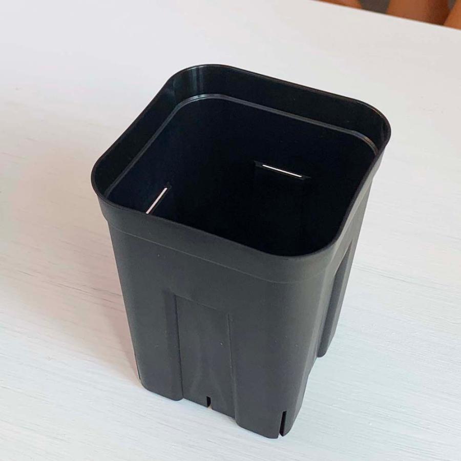 02 確認用　プレステラ120サイズ プレステラ深鉢 120-白☆(硬質スリットポット)深型＠多肉植物