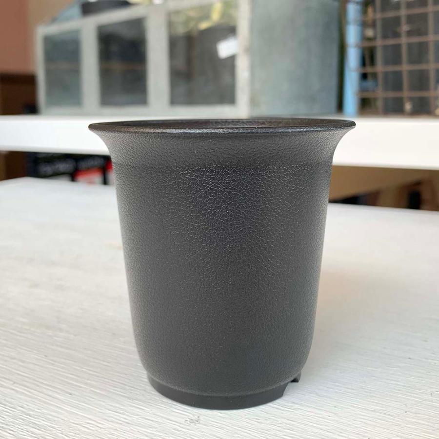 10個セット】プラスチック鉢 Bo 2.5号 (ブラック/黒) : Botanique