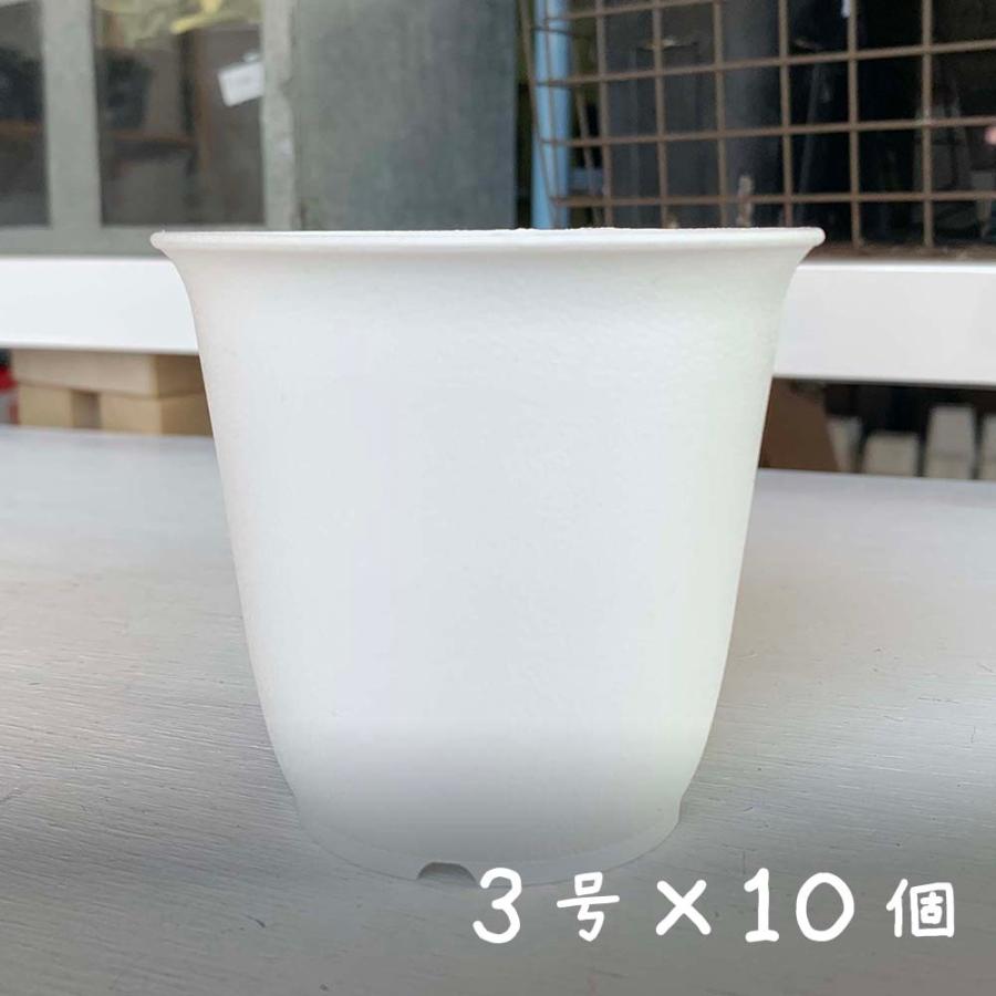 10個セット プラスチック鉢 Bo 3号 ホワイト 白 Plapot Bowh 30 10 Botanique Yahoo ショッピング店 通販 Yahoo ショッピング