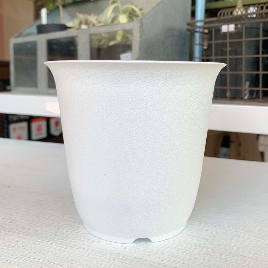 10個セット】プラスチック鉢 Bo 4号 (ホワイト/白) : Botanique Yahoo