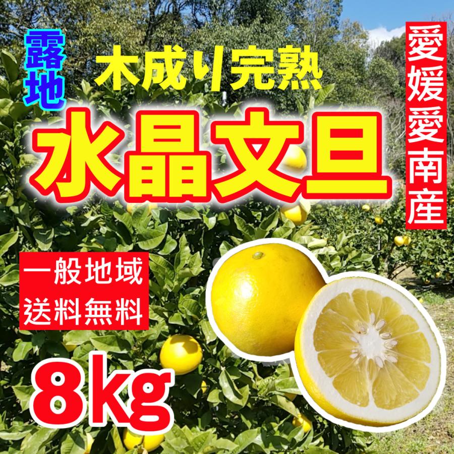 文旦 水晶文旦 みかん 好きに 28 【公式通販】