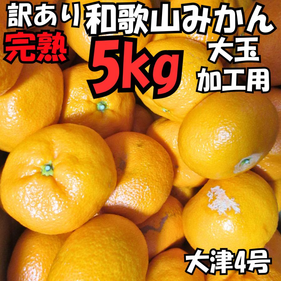 大玉4·5kg 　品種中生・訳あり和歌山みかん 訳あり 完熟 和歌山みかん 大玉 和歌山県産 5kg 旬の果物 フルーツ