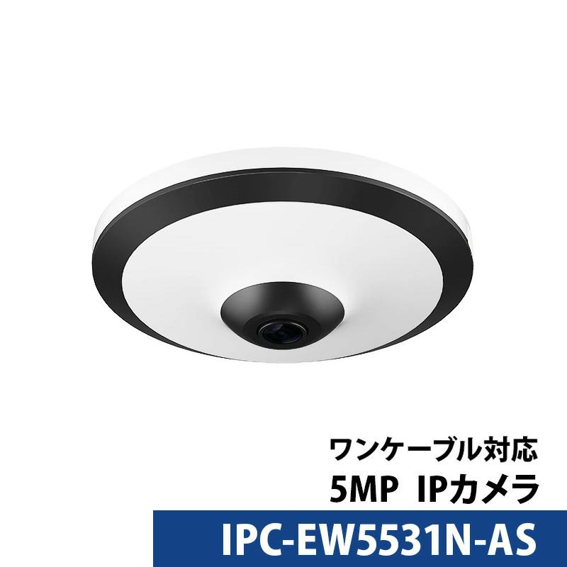 新品・未使用】佐藤真琴 絵皿 【公式通販】