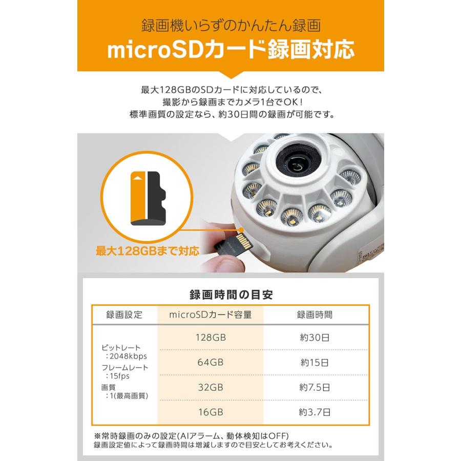 Alter+ 防犯カメラ 家庭用 屋外 見守り ワイヤレス Wi-Fi 首振り パンチルト 防水 SDカード録画 400万画素 : 防犯宣言 - 通販  - Yahoo!ショッピング