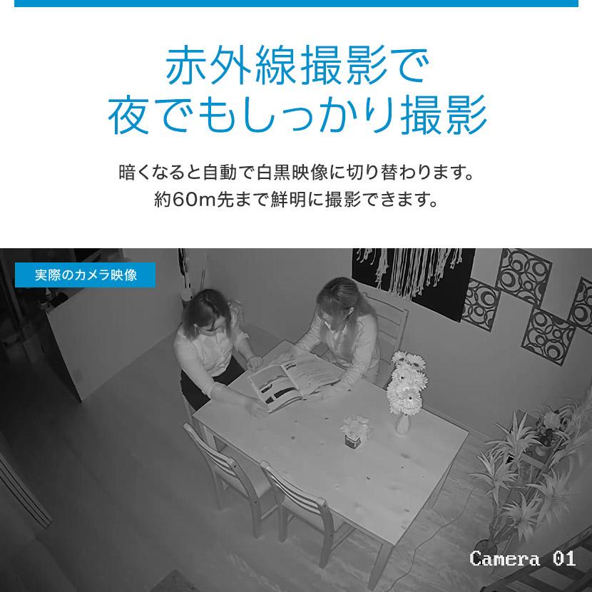 防犯カメラ IP 屋外 PoE 防水 バレット 200万画素 赤外線 ネットワーク 監視 アルコム RD-CI223SV_6