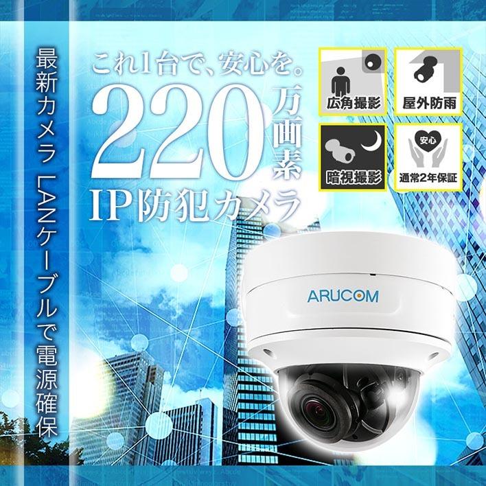 防犯カメラ IP 屋外 PoE 防滴 ネットワーク ドーム型 監視 約220万画素