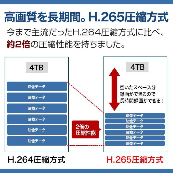 防犯カメラ レコーダー NVR IP 録画機 4ch 2TB SSD 監視 保存 ネットワーク PoE RD-RN2805Sの画像