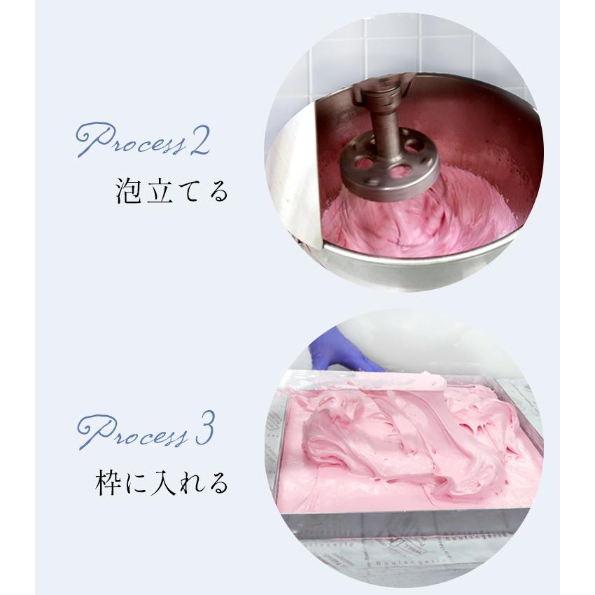 Reminiscence レミニセンス Mi Fa ギモーヴ guimauve ブールミッシュ（BOUL'MICH） ギモーヴ 10個入り 贈り物 お土産