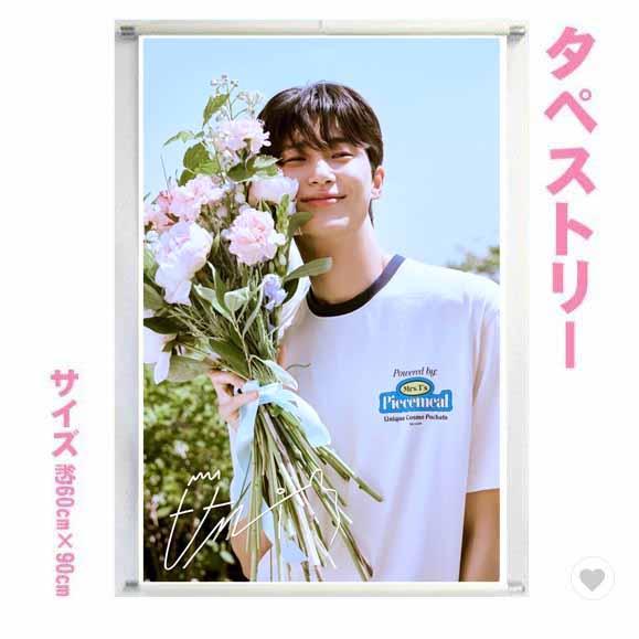 ピョンウソク ピョン・ウソク 60cm×90cmサイズ タペストリー tape0719