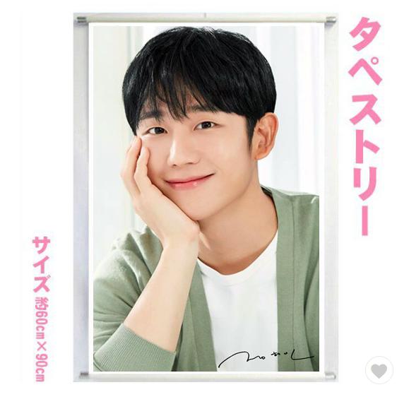 チョンヘイン チョン・ヘイン タペストリー 韓流グッズ tape4-1016-26  