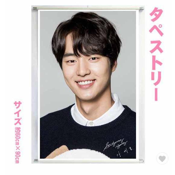 送料無料☆ヤンセジョン ヤン・セジョン タペストリー 韓流グッズ