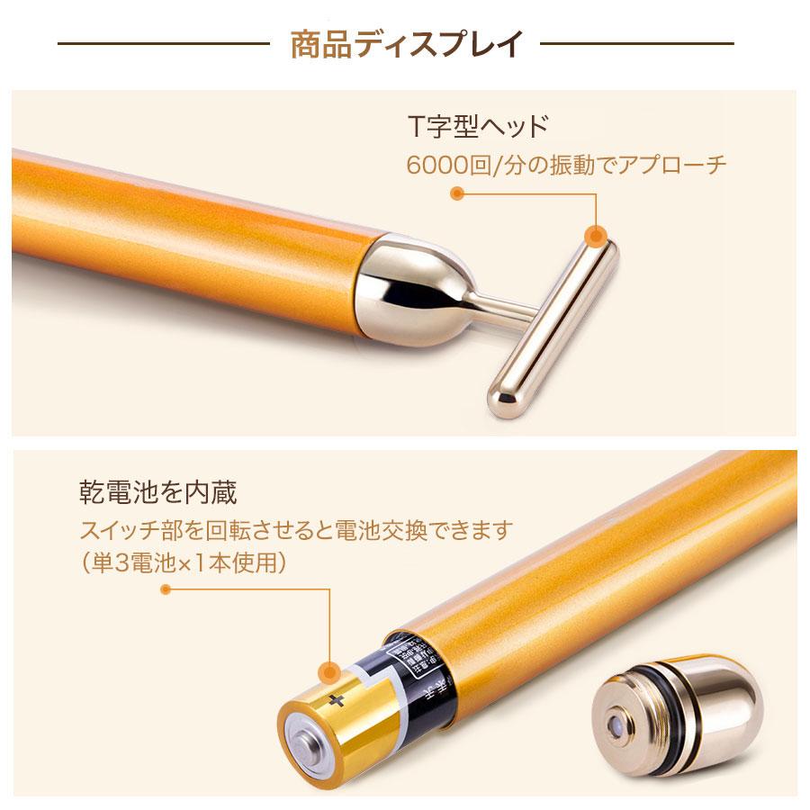 Ravilian 美顔器 ゴールド USB充電 Ravilian 美顔器 ゴールド USB充電 スパイラルケア美顔器 STORM