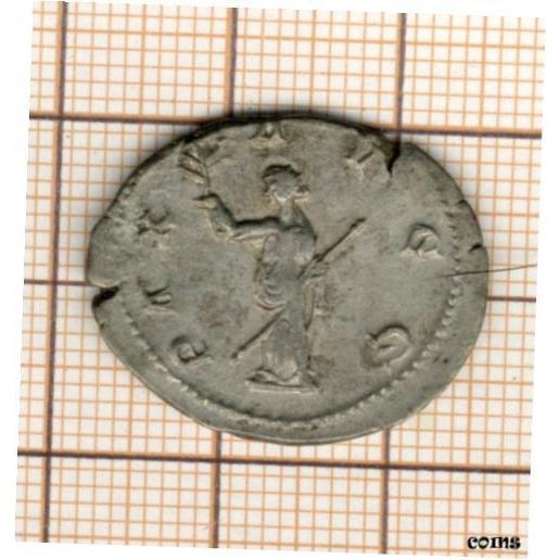 華麗 251-2453 Volusianus PCGS NGC アンティークコイン 【品質保証書付】 Antoninianus, t on Paix The 記念メダル