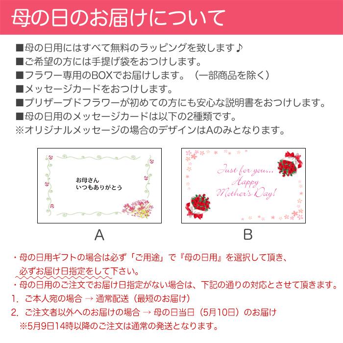 母の日 | プリザーブドフラワー プレゼント 入学式 誕生日 花 ギフト